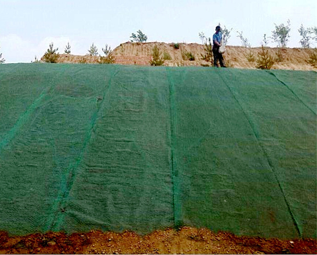 �c���鿴Ԕ����Ϣ���}�����Sֲ���Wʩ�� ��x�Δ���2204