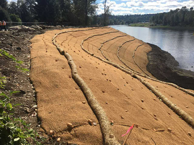 �c���鿴Ԕ����Ϣ���}��ֲ��̺ʩ�� ��x�Δ���1989